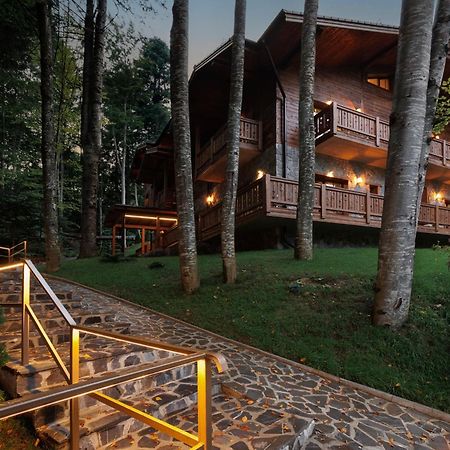 Chalet Royal Sinaia Exterior foto